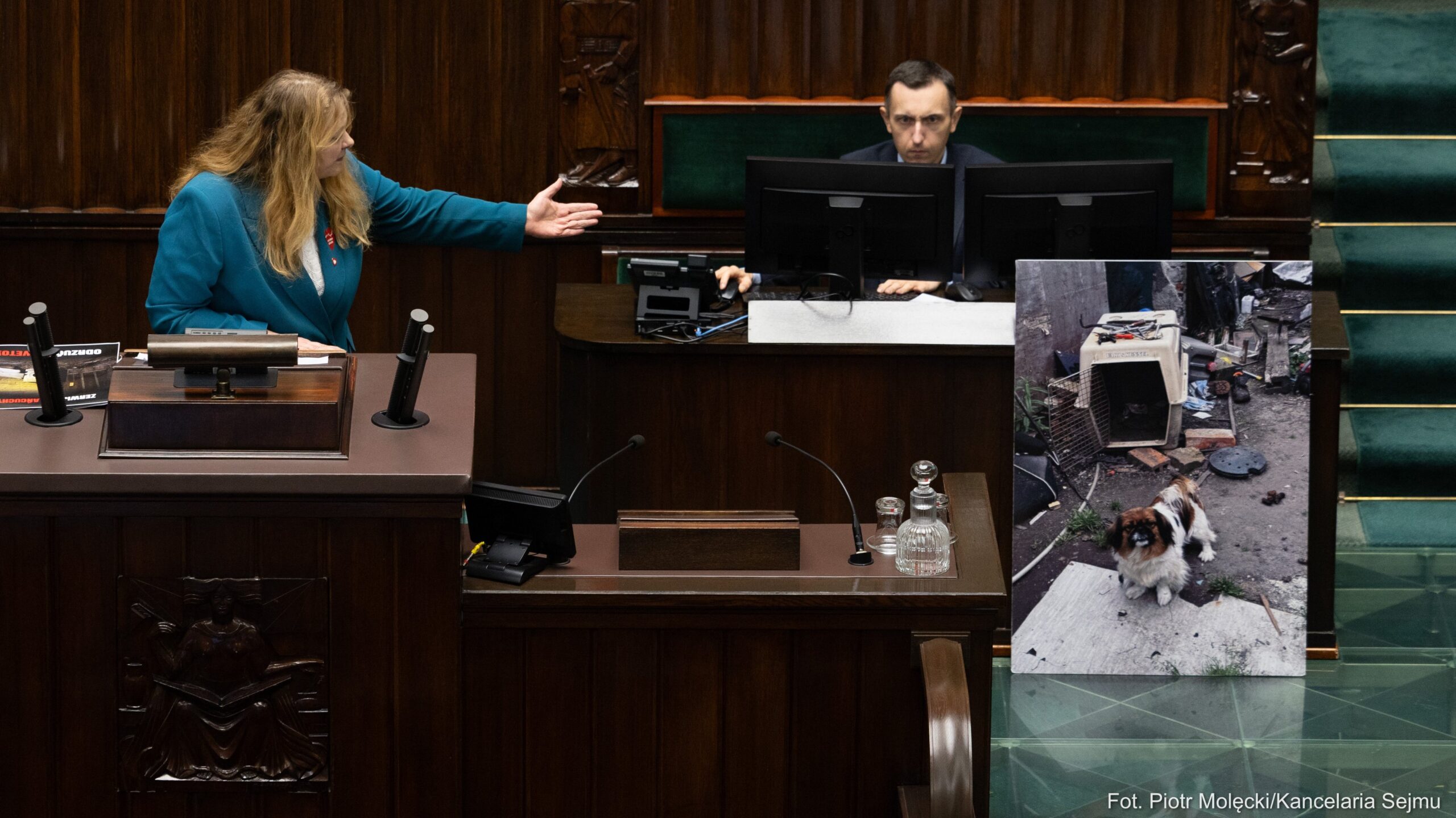 Głosowanie w Sejmie nad wetem do ustawy łańcuchowej dotyczącej zakazu trzymania psów na uwięzi