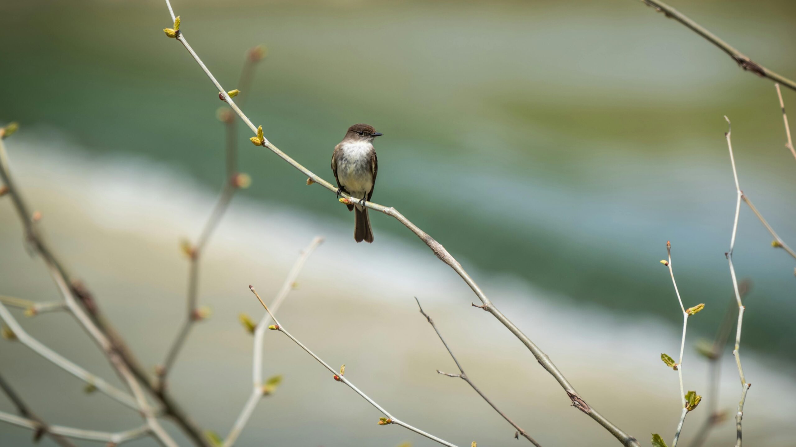 Rząd chce pozbawiać wolności dzieci