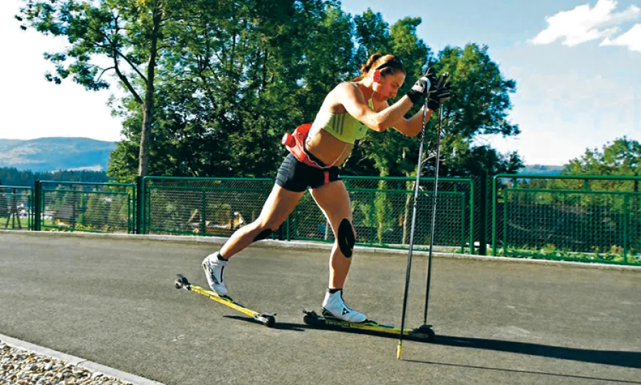 W królestwie Tajnera