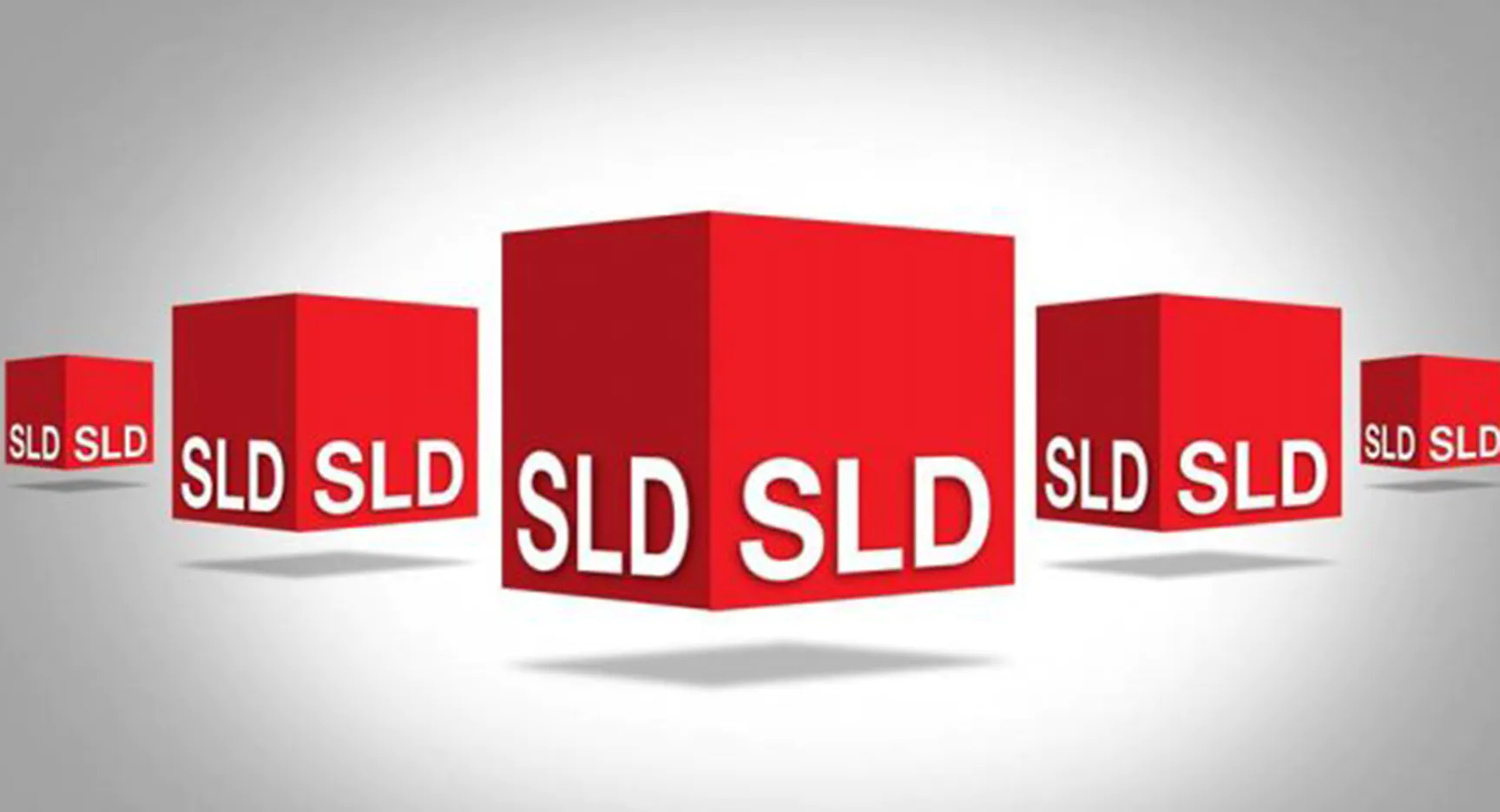 Przed Konwencją SLD