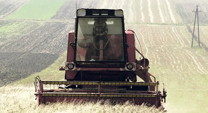 Kto się boi Michała K.?