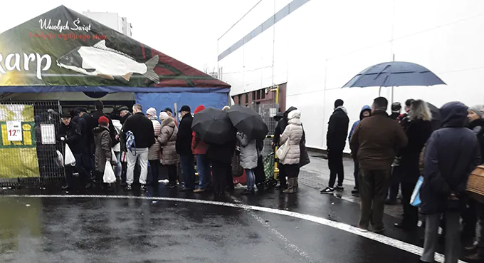 W odpowiedzi „Otwartym Klatkom” – list Czytelnika