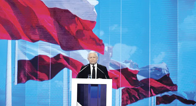 Ani świnka, ani morska