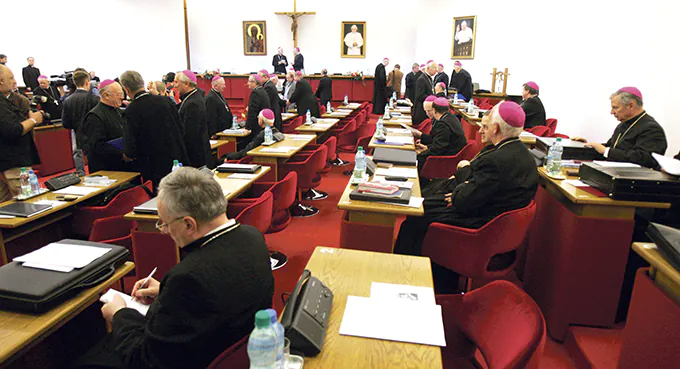 Biskupi działają zgodnie z instrukcjami Watykanu