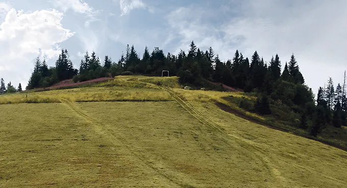 Szukając odpowiedzi