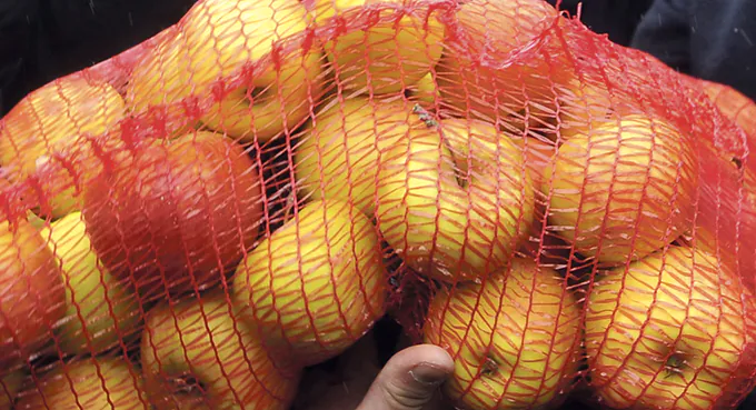 Słabe ogniwo Europy