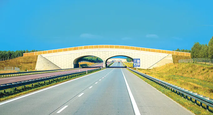 Z zerową troską o publiczne pieniądze