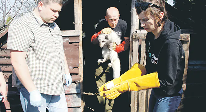 Prawa zwierząt zagrożone