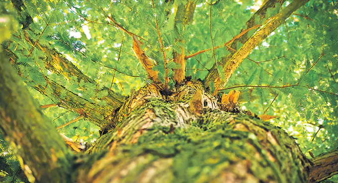 Miliardy na zieloną transformację