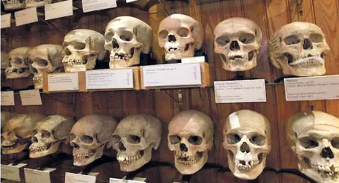 Francja zwraca czaszki