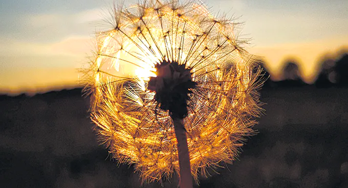 Stworzyłam taki pomost