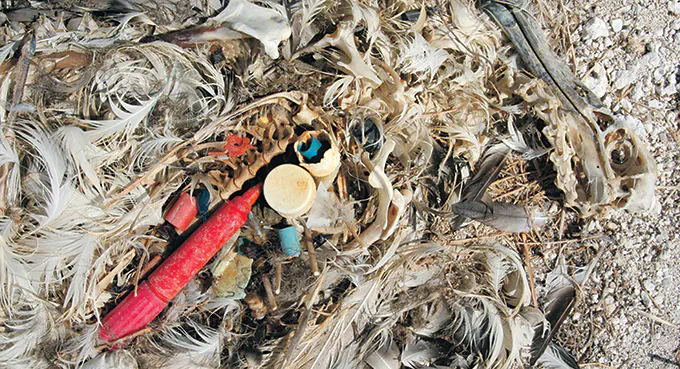 Globalny dualizm kryzysowy