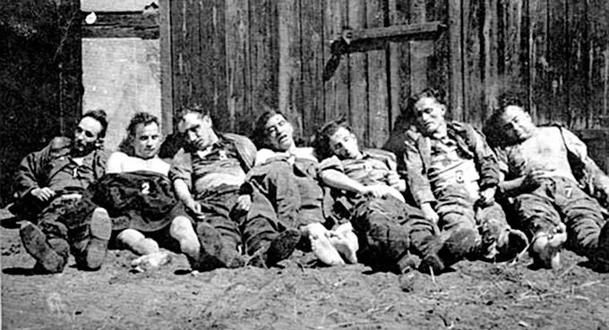 Z Polski, a jednak do domu