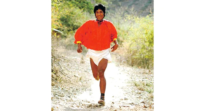 Biegacze nie do zdarcia