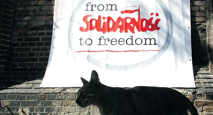 „Przepraszam za Solidarność”
