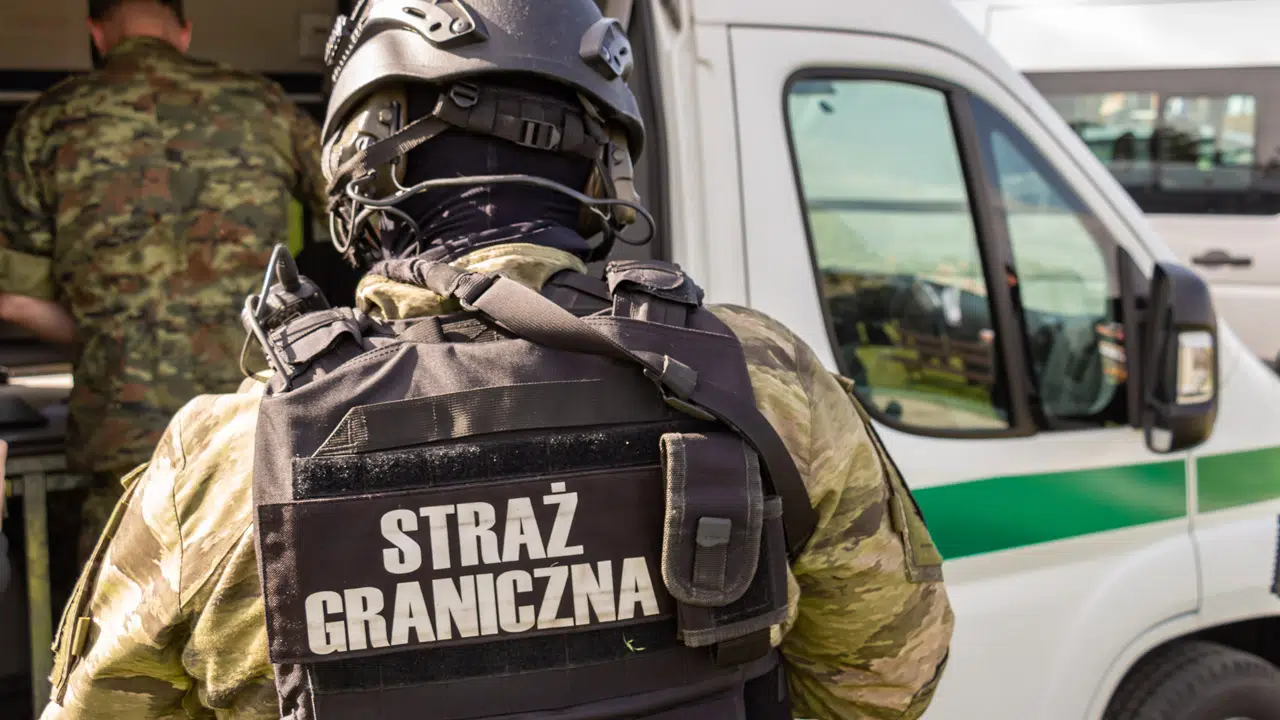 Sfora spuszczona ze smyczy