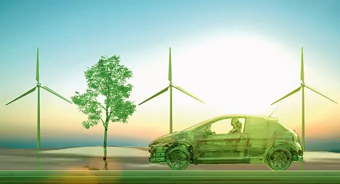 Ekologiczna „wartość” może stać się „wartością” ekonomiczną