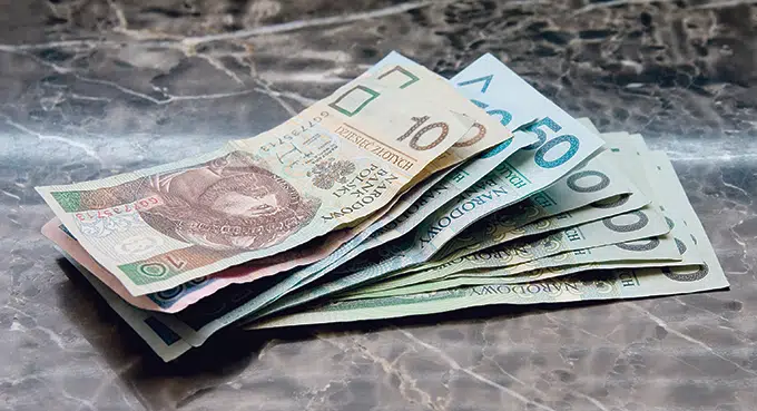 Fura, skóra i komóra