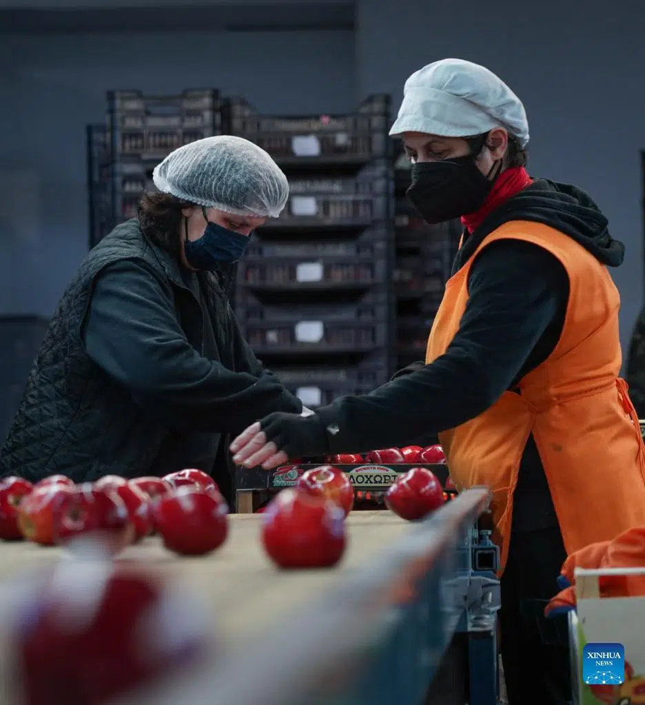 Ukraine crisis deals huge blow to Greece’s fruit and vegetable exports