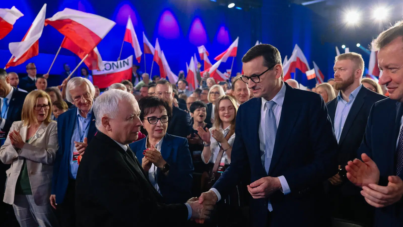 Reanimacja sytych kotów