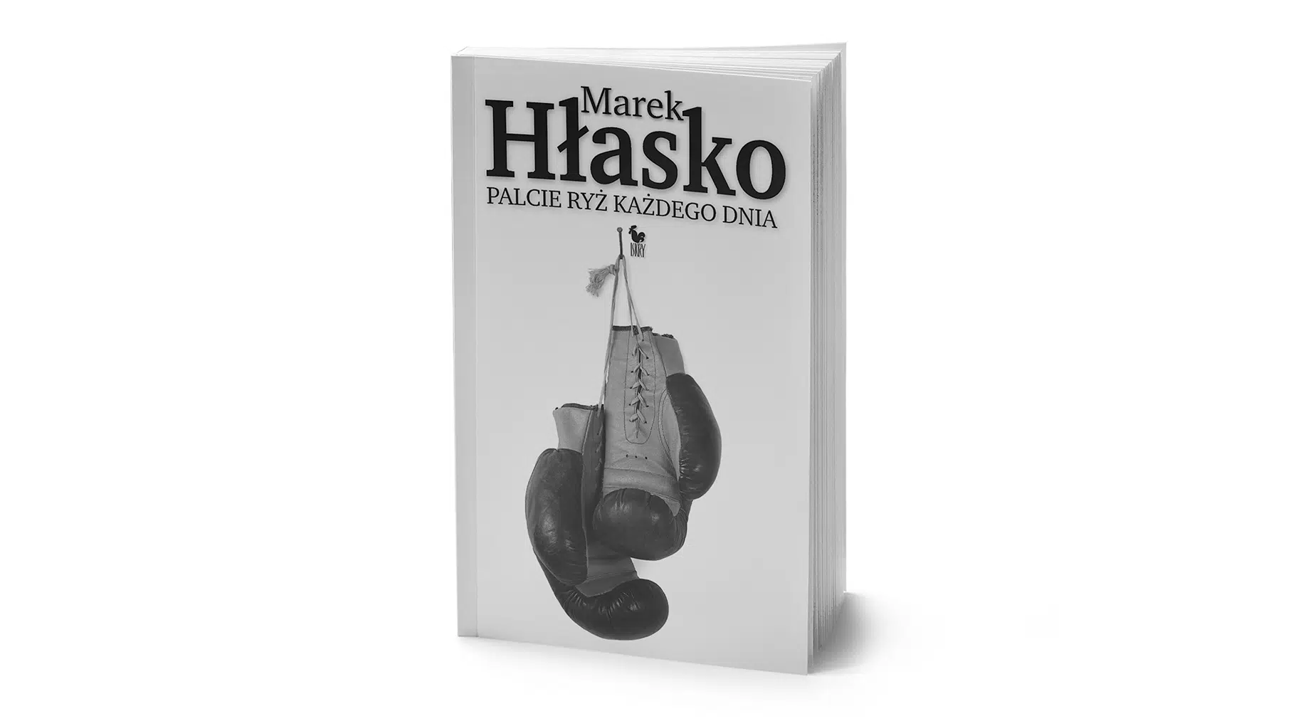 Cały Hłasko – kobiety i samoloty