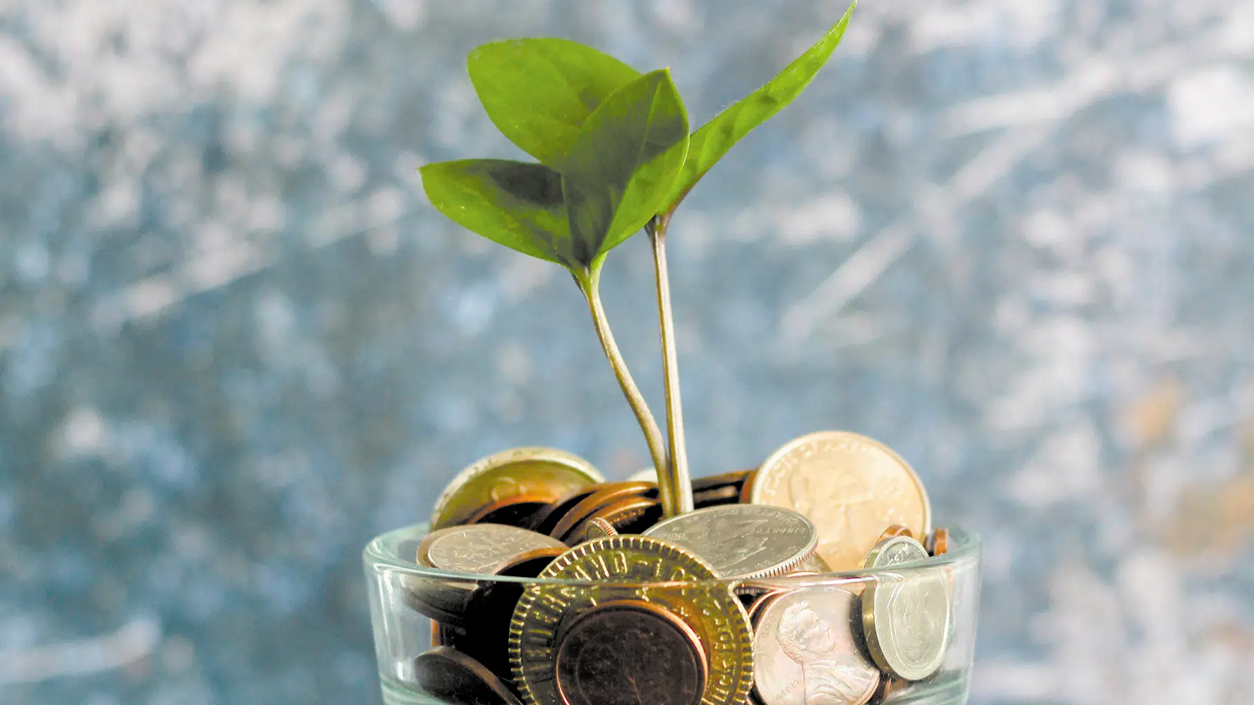 Oszczędny niczym Polak