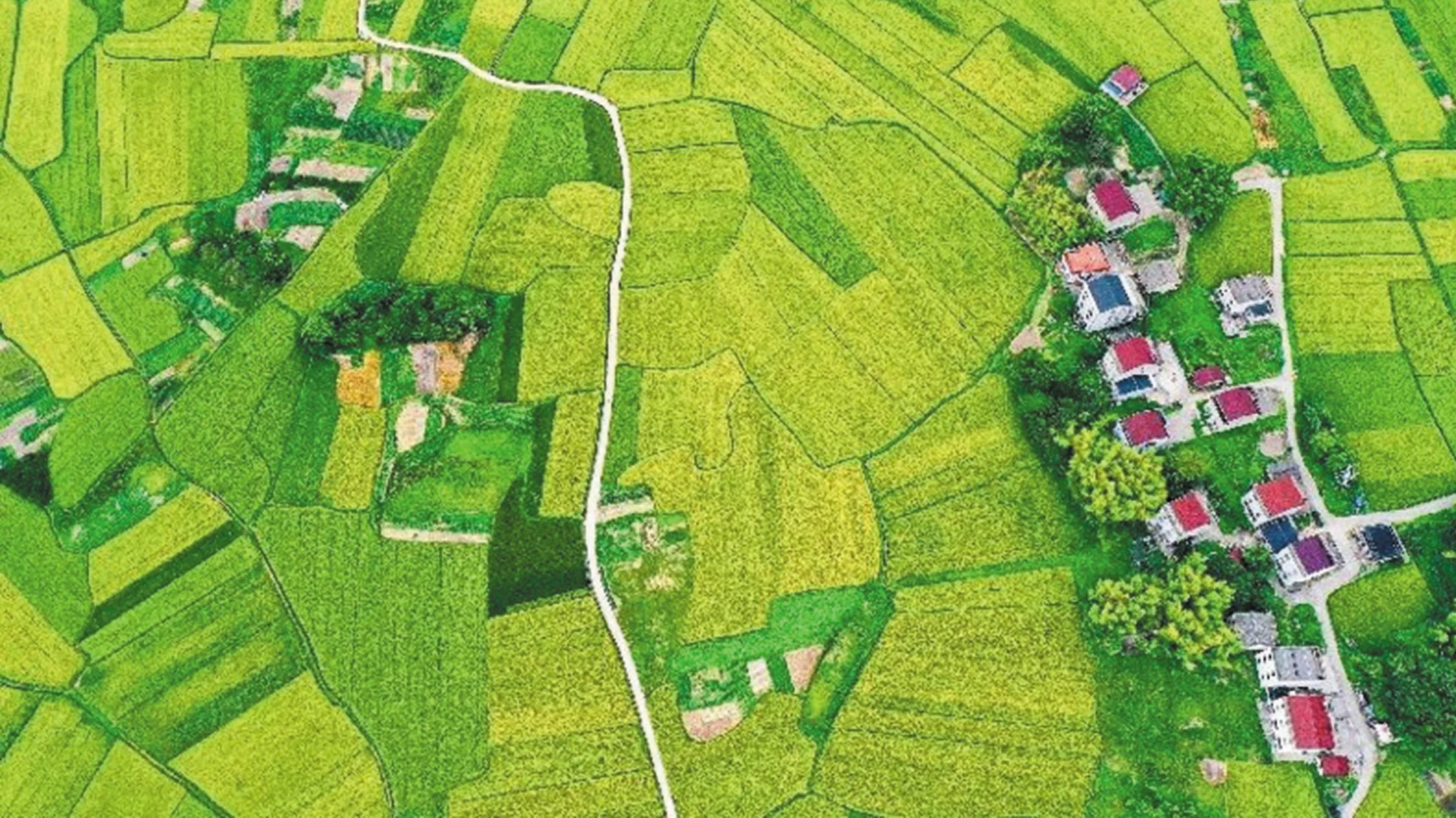 Chiny są przekonane o właściwym wyborze drogi rozwoju