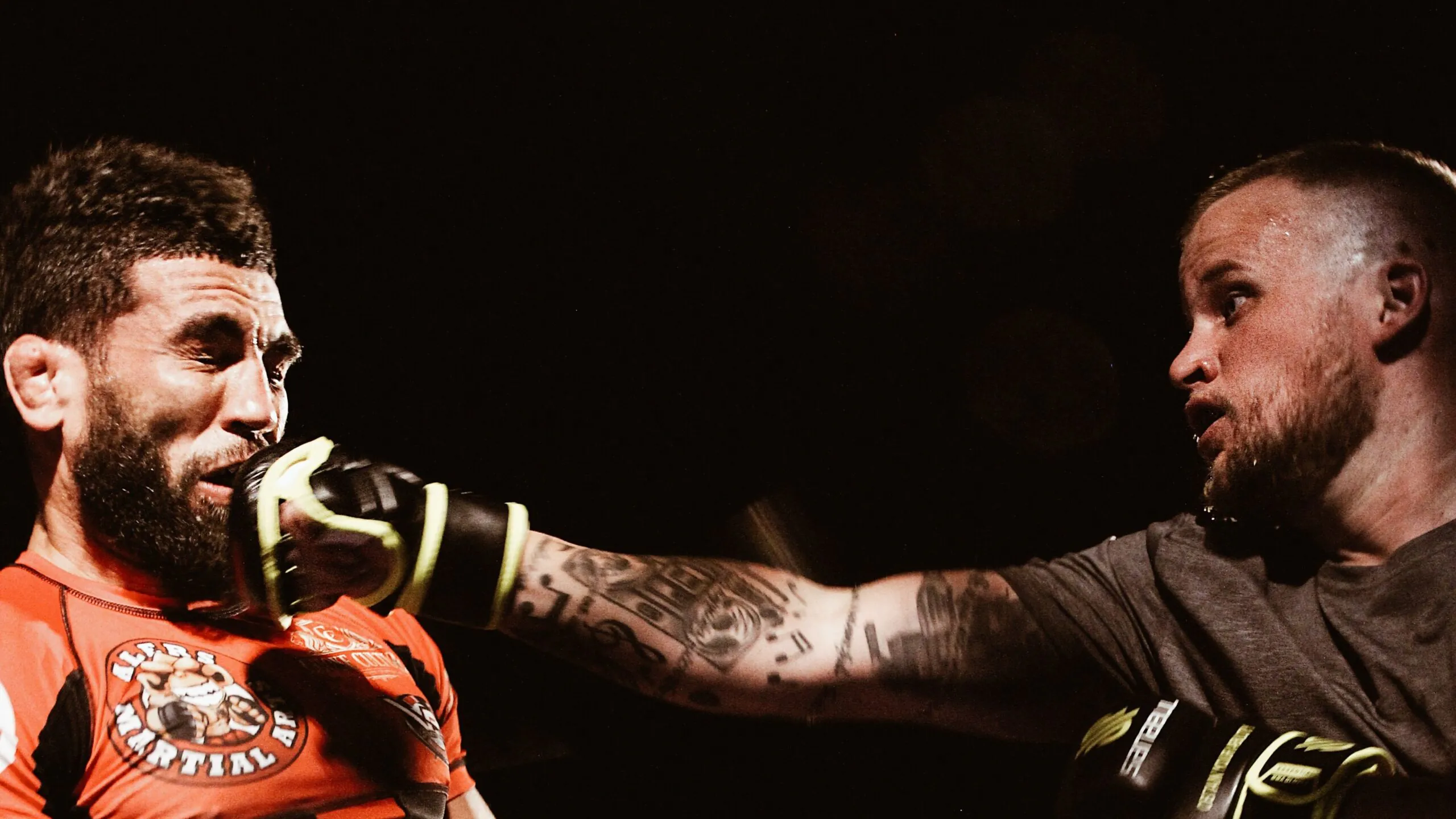 Mózg sportowców może się regenerować