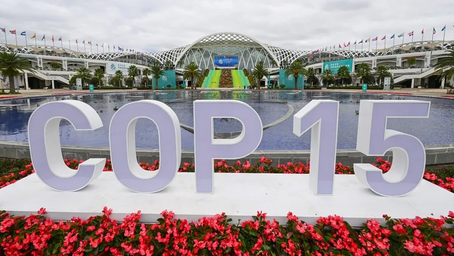 GLOBALink | 2nd part of COP15 kicks off in Canada’s Montreal