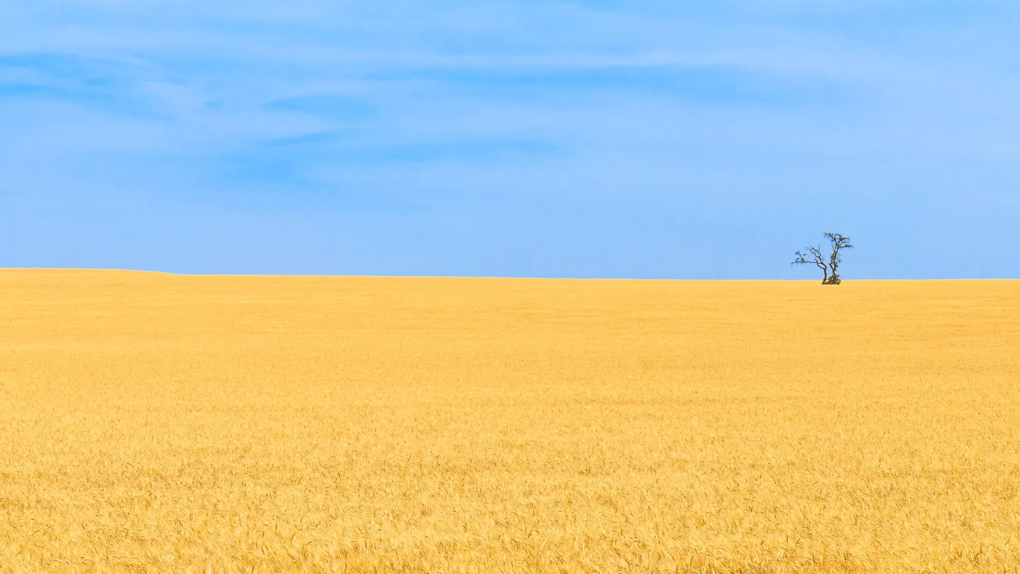 Najważniejsze zwycięstwo