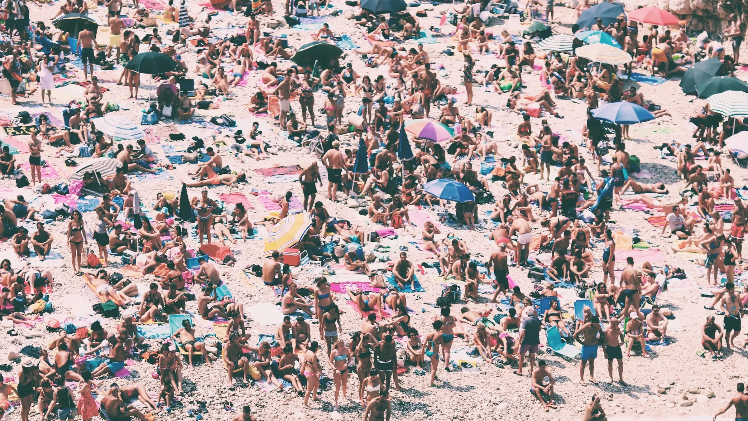 Latem odlatujemy na południe