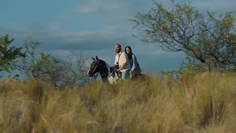 Znamy laureatów Nowych Horyzontów