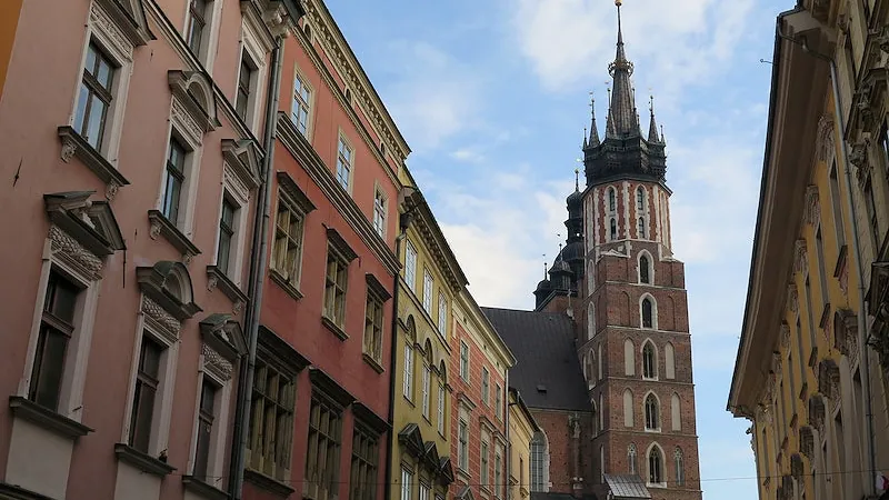 Patologie Krakowa