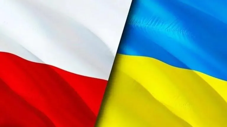 Wzięli się za łby