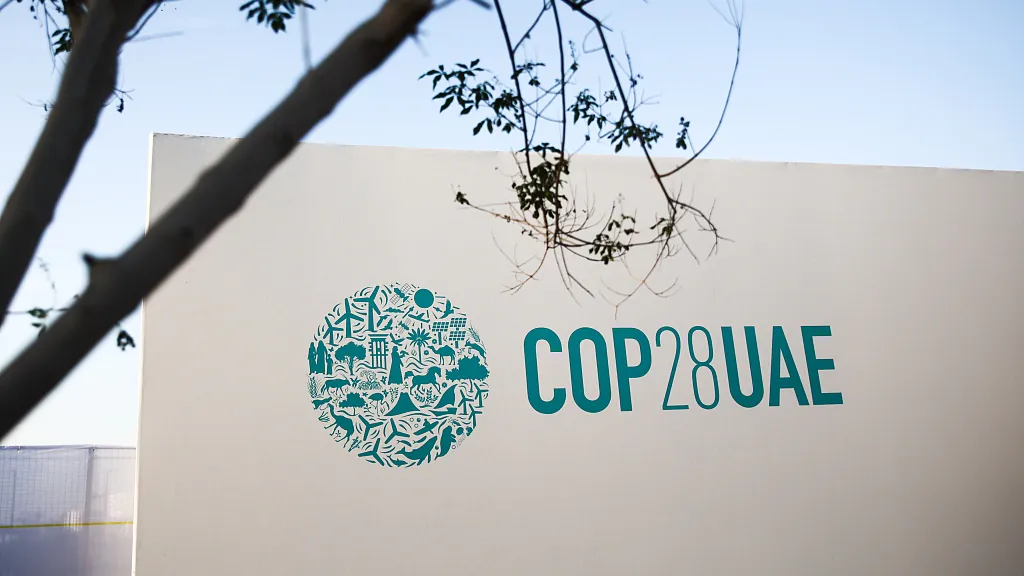 Sondaż CGTN: 91,4% respondentów z całego świata docenia wkład Chin w walkę ze zmianami klimatu