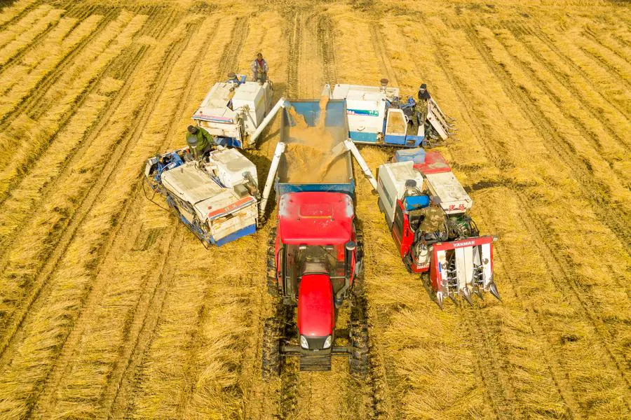 (China Economic Roundtable) Xinhua Headlines: China’s new push for rural reform, revitalization