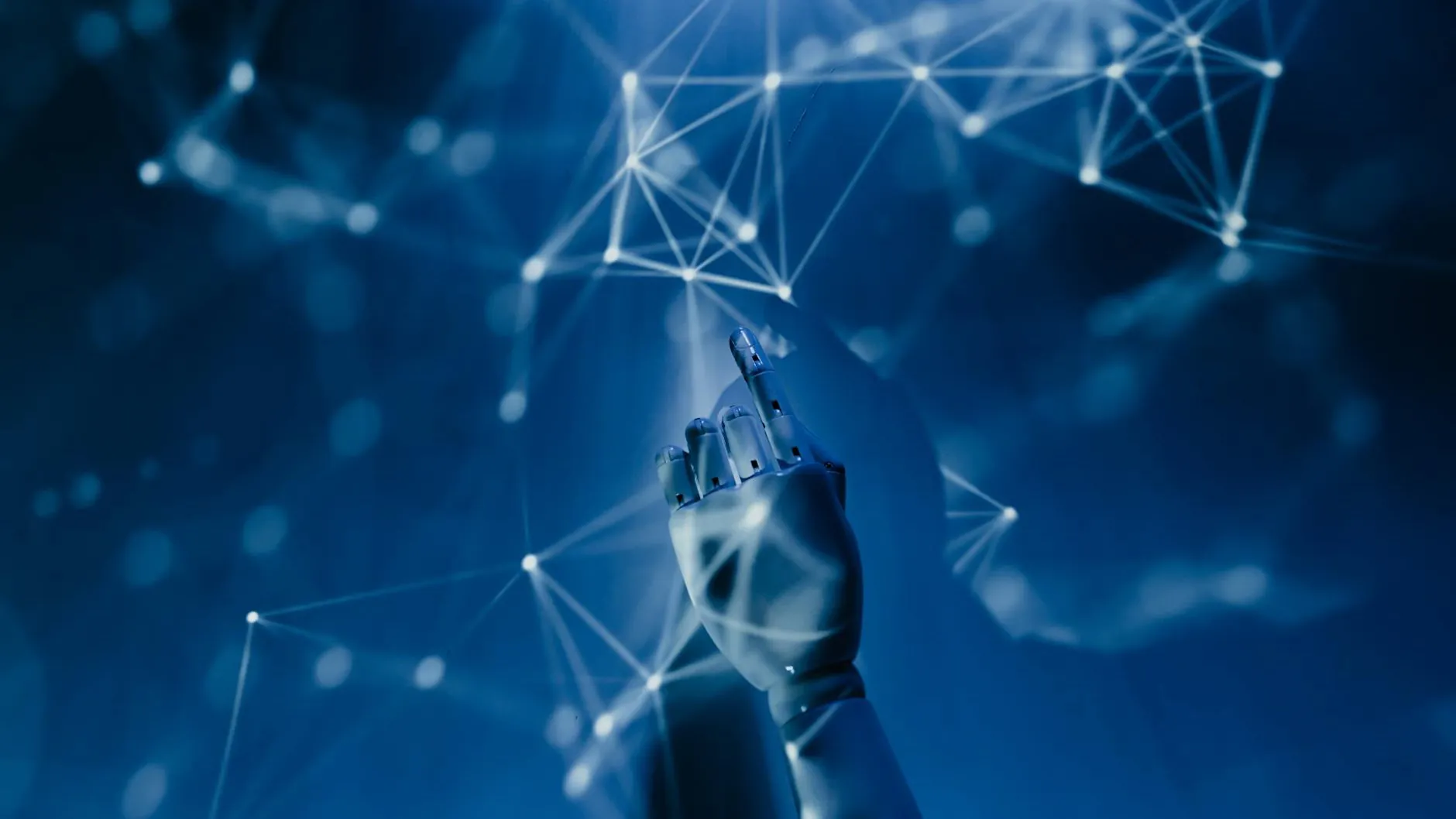 Polski cyfrowy hołd lenny