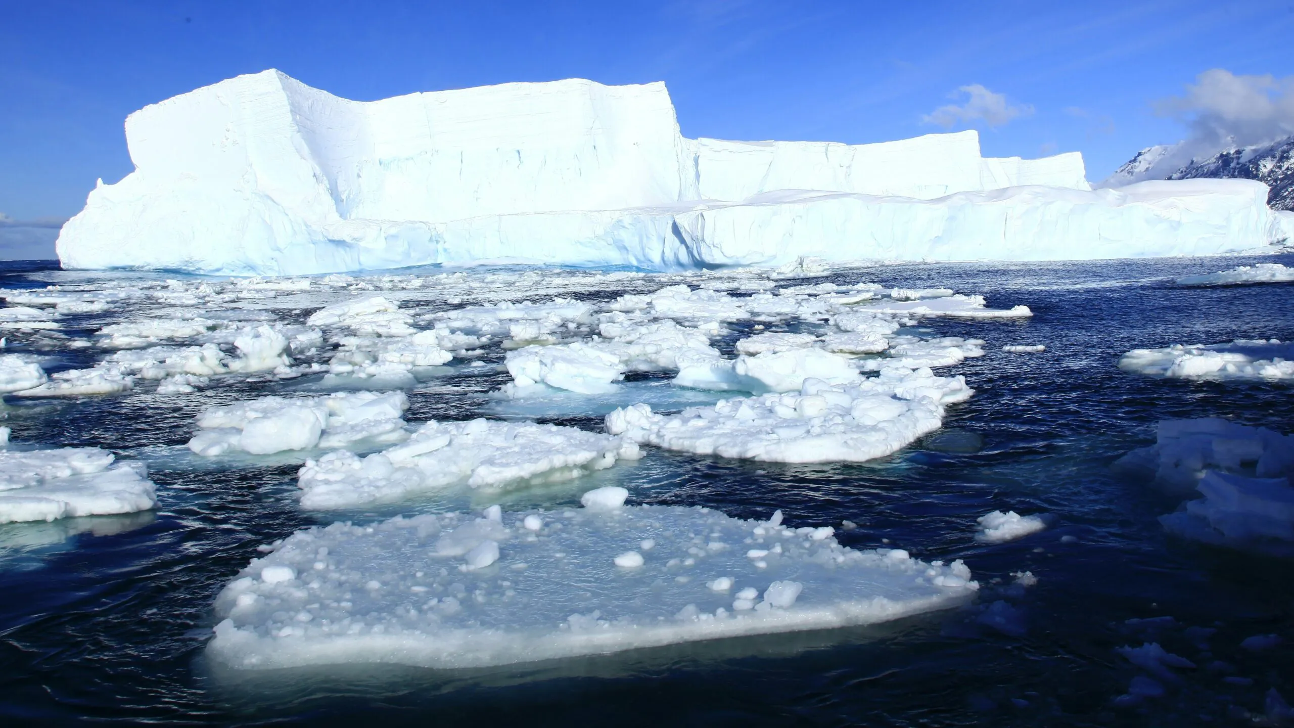 Lodowce nie przetrwają tego stulecia. Naukowcy ostrzegają przed globalną katastrofą