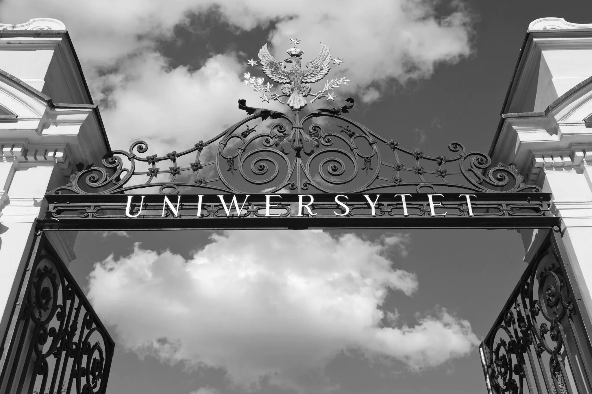 Zamęt i nienawiść