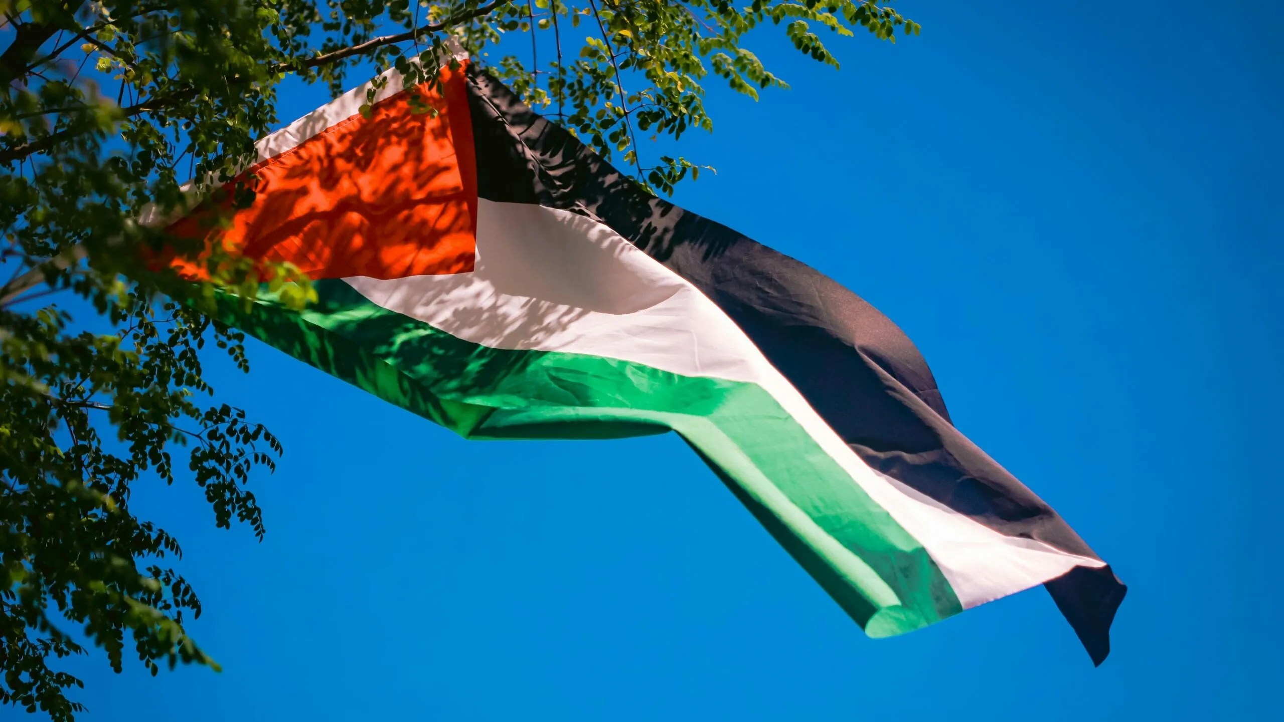 Deklaracje i śmierć