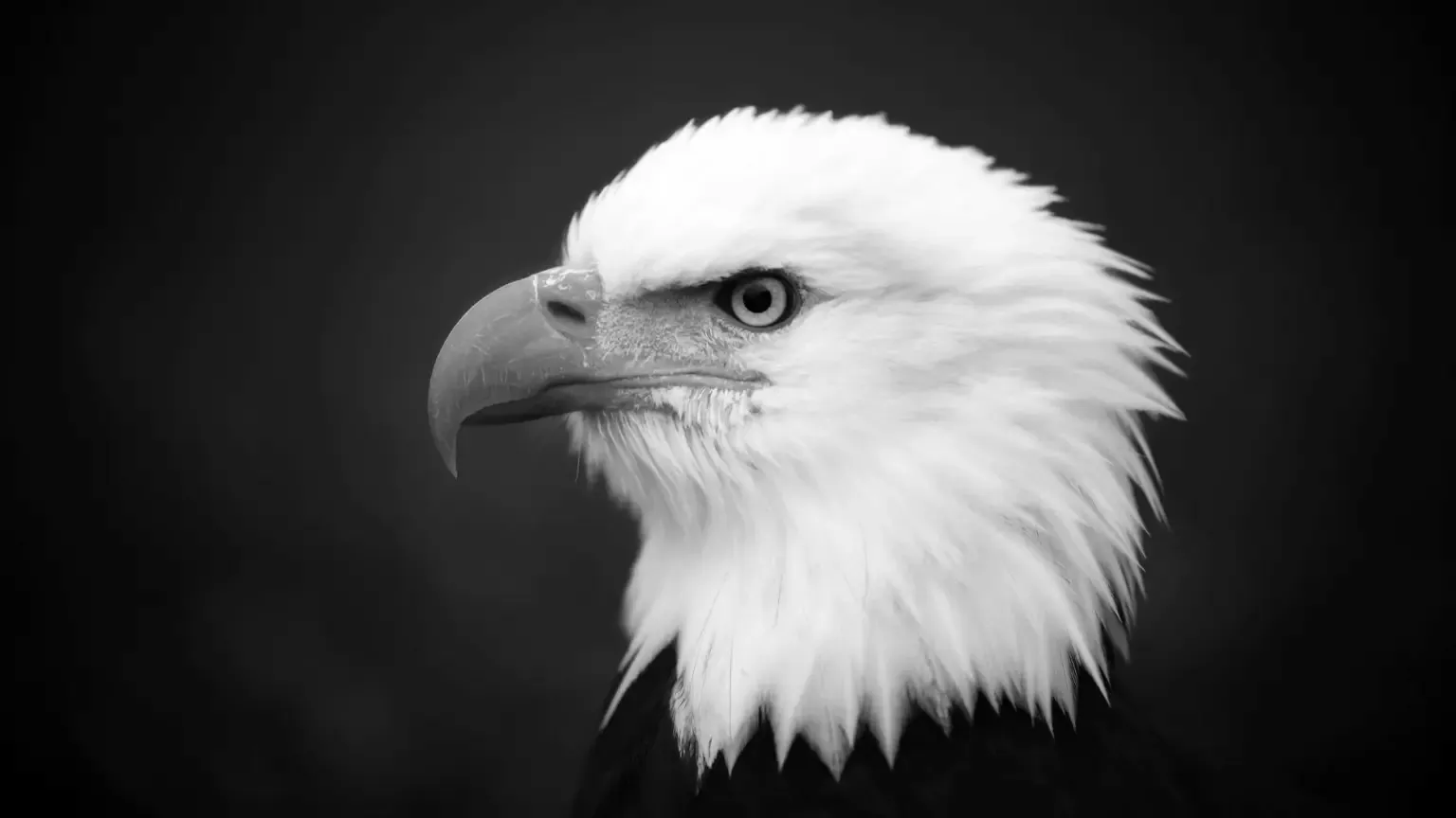 Szok: USA to nie jest dobry wujek zza oceanu