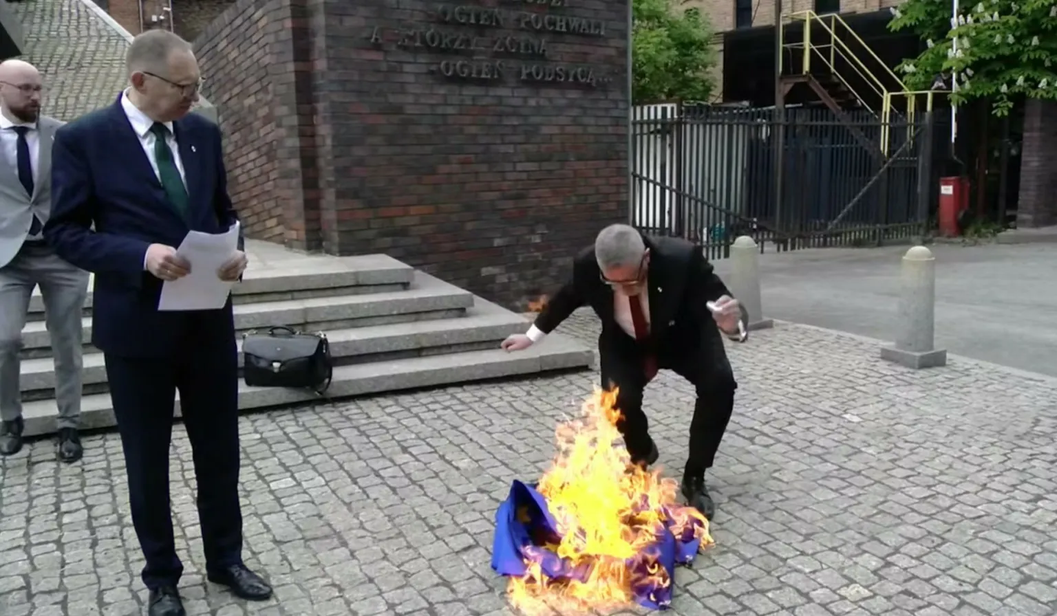 Prawica rośnie przez podział