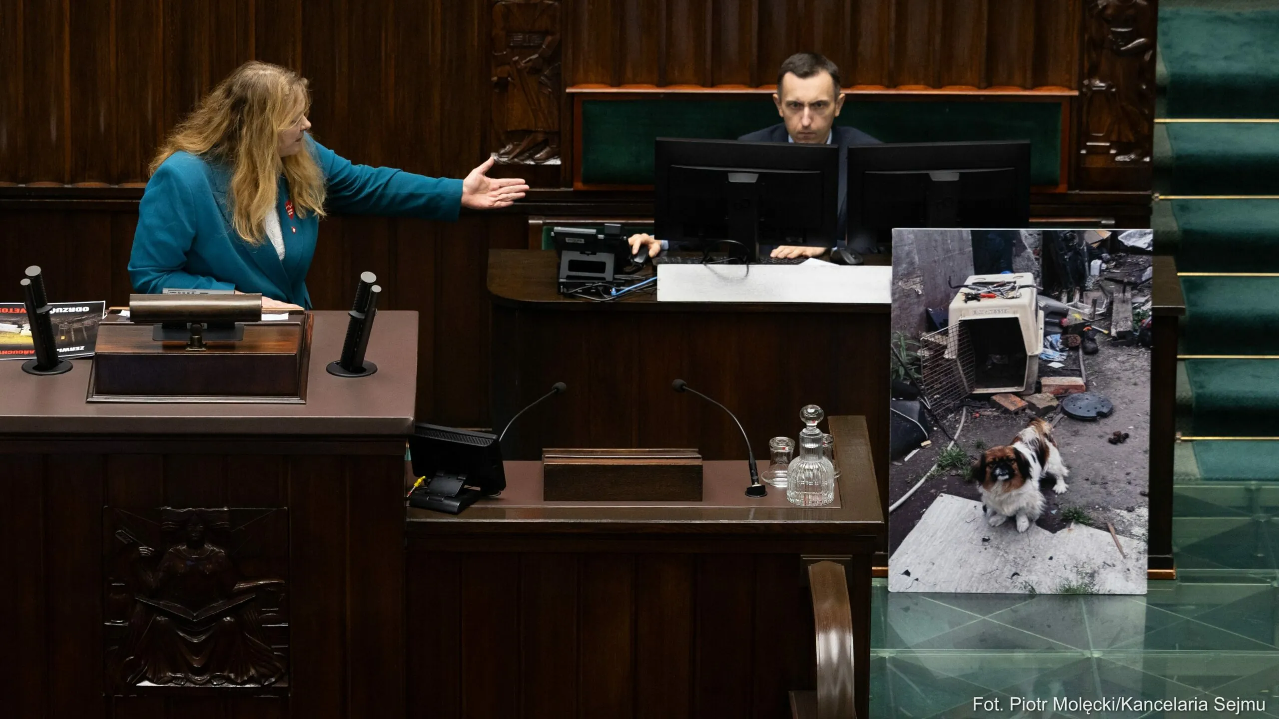 Sejm nie zerwał łańcuchów. Zakaz trzymania psów na uwięzi nie wejdzie w życie
