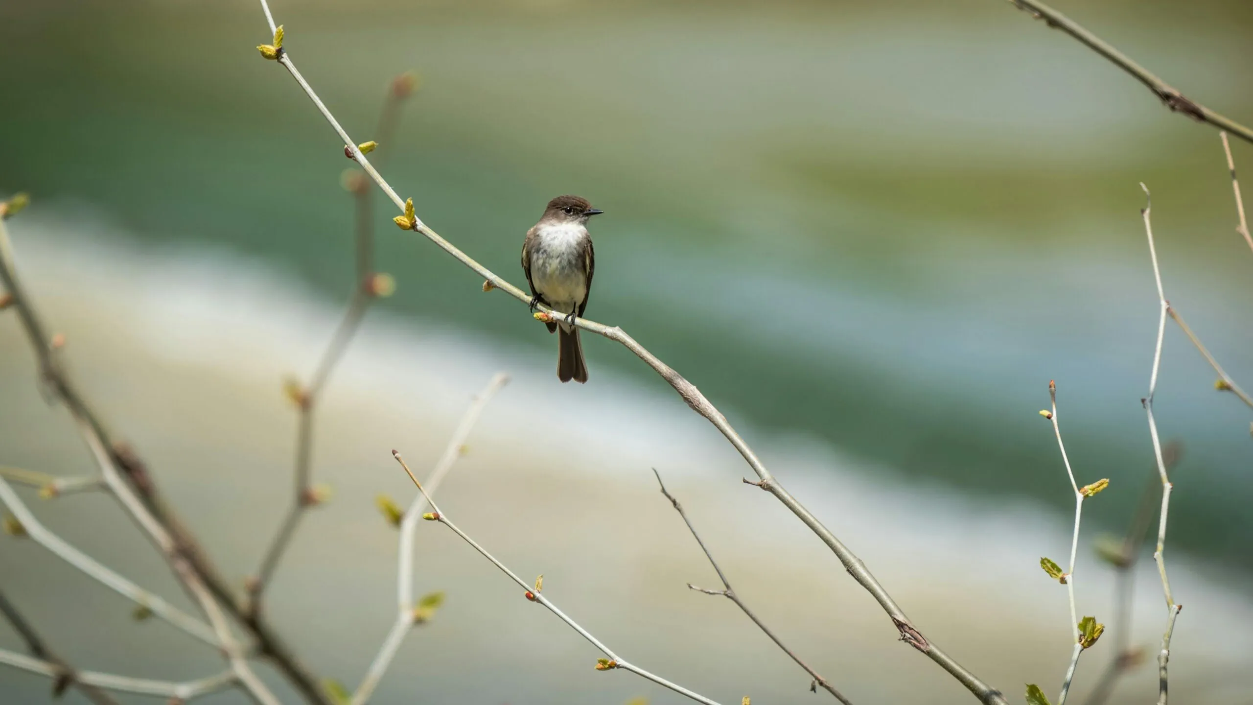 Rząd chce pozbawiać wolności dzieci