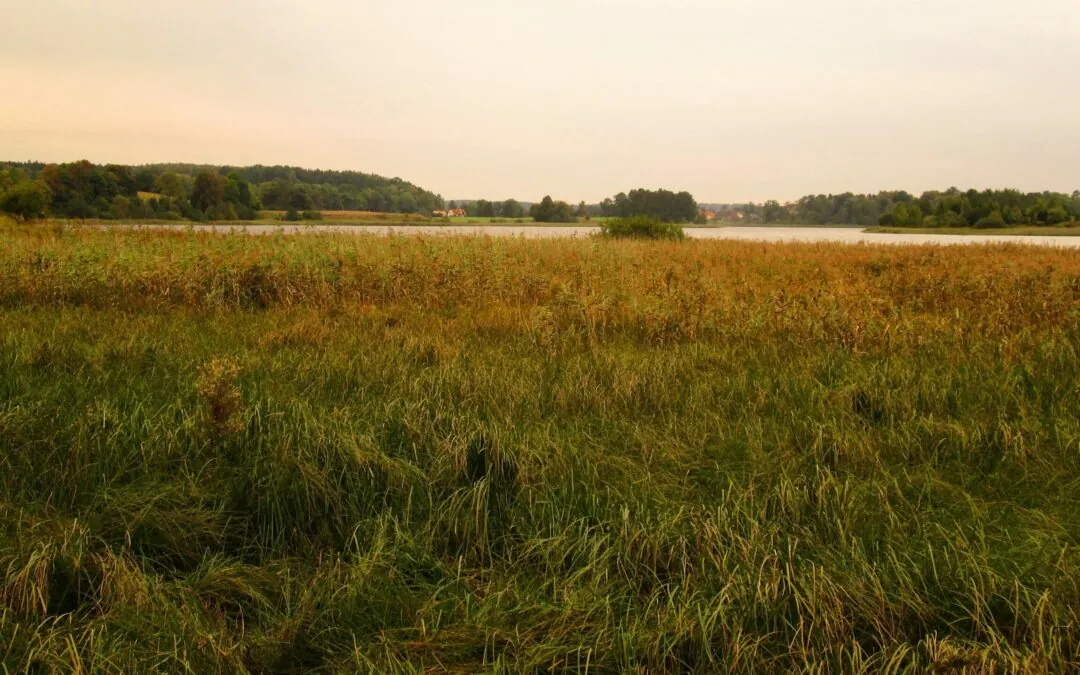 Nieoczywiste pomysły na majówkę „last minute”. Poznaj 6 miejsc, które warto odkryć zamiast zatłoczonych klasyków